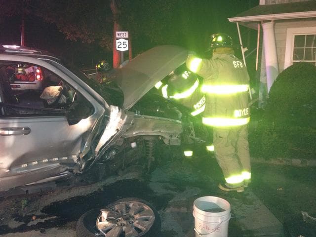 Peconic MVA - Irriz 1.jpg