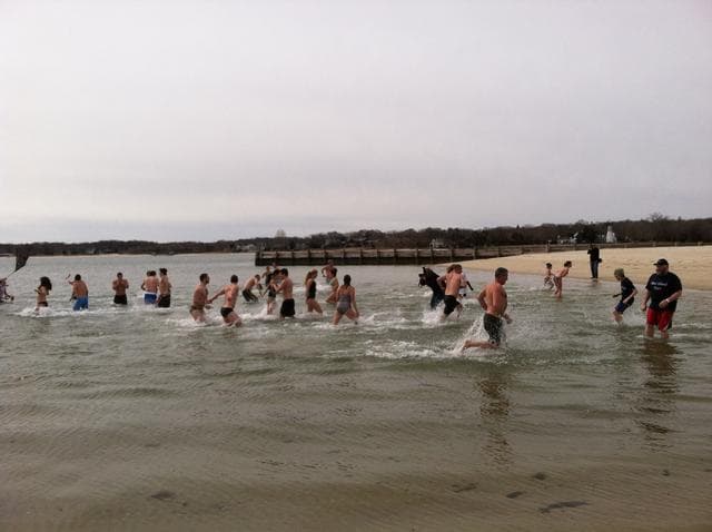 Peconic Plunge - IMG_0037[1].JPG